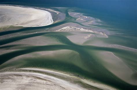 A Muddy Transnational Park: The Wadden Sea | Environment & Society Portal