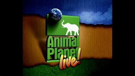 Animal Planet Live! Soundtrack Theme Music Score Universal Studios Hollywood Florida (2001 ...