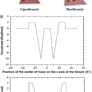 Molecular modeling of the interactions between ciprofloxacine and ...