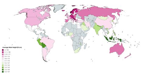 Average Height By Country