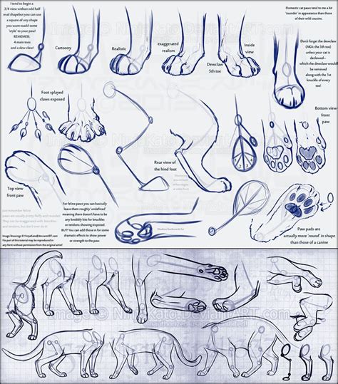 (138 images) Drawing references and tutorals | Cat drawing tutorial, Paw drawing, Cat anatomy