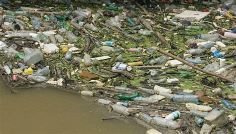 8 doenças causadas pela água contaminada - Escola Educação