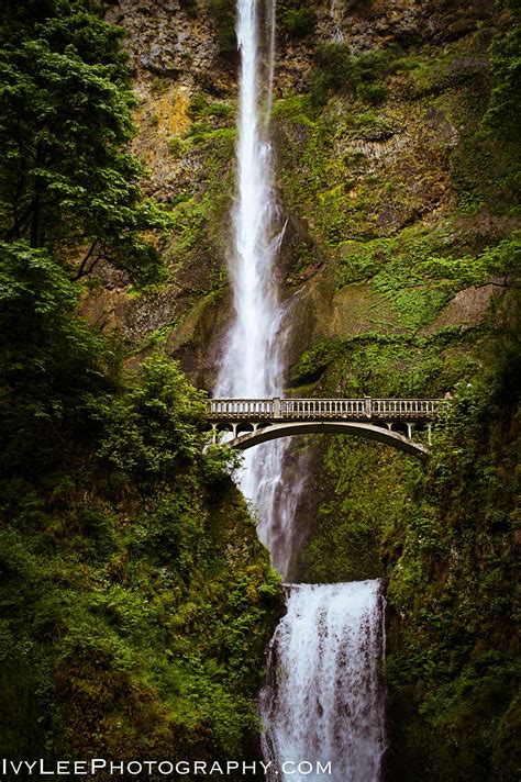 Multnomah Falls outside of Portland, Oregon | Landscape, Multnomah falls, Landscape photography