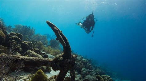 5 Reasons You Need to Try Diving at A Dive Resort in Batangas | Vivere ...