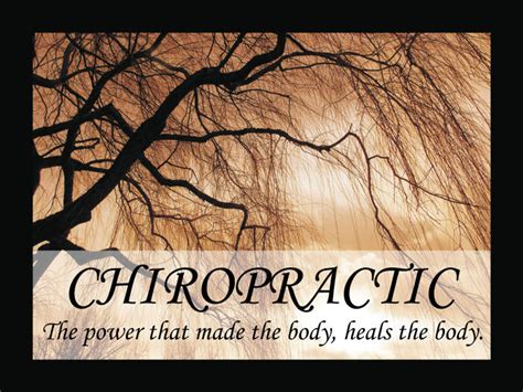 Chiropractic Heal Poster - Clinical Charts and Supplies