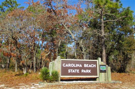 Carolina Beach State Park (4.0 miles; d=4.13) - dwhike