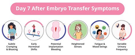 7 Days After Embryo Transfer Symptoms | Birla Fertility & IVF