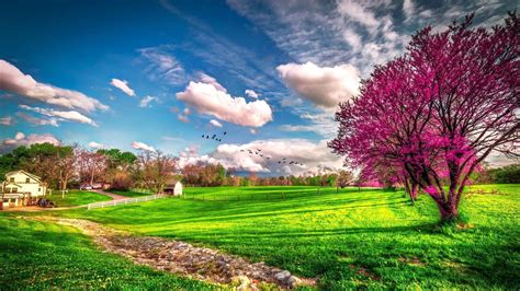 Spring Landscape Wallpaper Hd