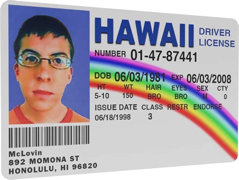 Superbad McLovin ID Card Fake Novelty Driving License ID Replica ...