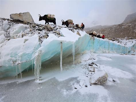 The Sherpa Perspective—A “Black Year” on Everest