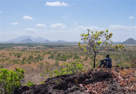 What's It Really Like to Travel Guyana? - Adventurous Kate