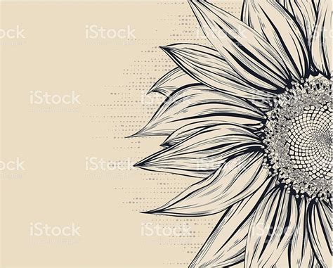 Sunflower.Drawing | Sunflower drawing, Sunflower tattoos, Tattoo drawings