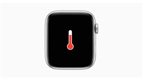 How Accurate is Apple Watch Heart Rate? - GadgetGang