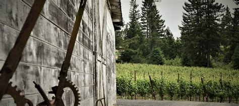 The MR Archives - Martin Ray Vineyards & Winery