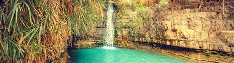 Ein Gedi, Israel Nature Reserve | Bein Harim Tours