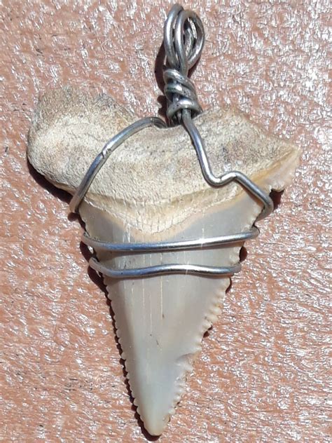 Copper wire wrapped shark tooth | Etsy