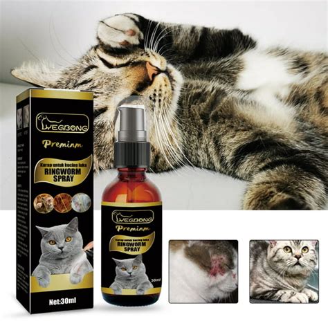 Ringworm Treatment Cats