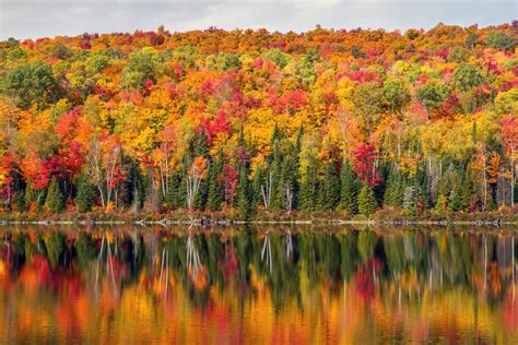 Fall at the Lodge at Giants Ridge - Lodge at Giants Ridge