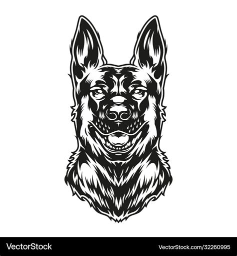 German shepherd dog Royalty Free Vector Image - VectorStock