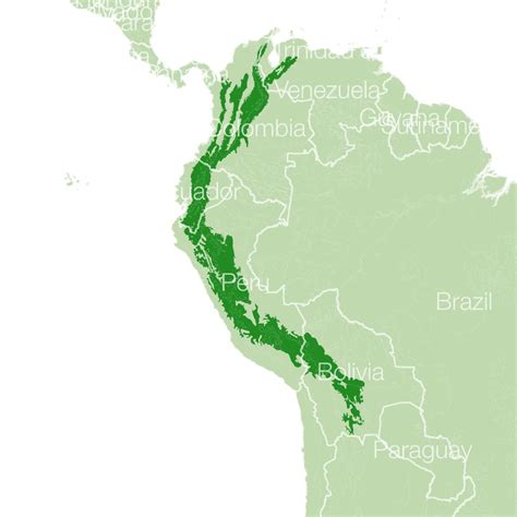 Bear Species Distribution Map