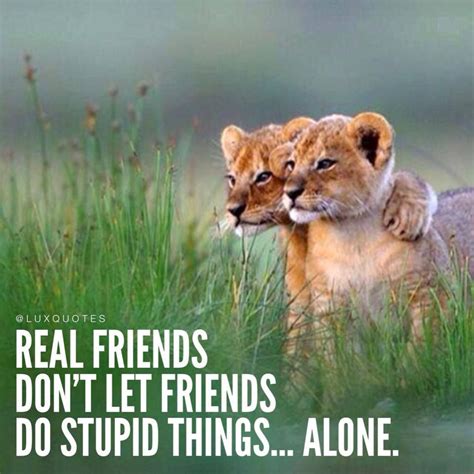 Real friends don't let friends do stupid things... alone. | Animals, Cute animals, Baby animals