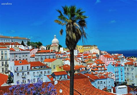 Lovely area - Alfama, Lisbon Traveller Reviews - Tripadvisor