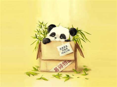 Panda in a Box wallpapers and images - wallpapers, pictures, photos