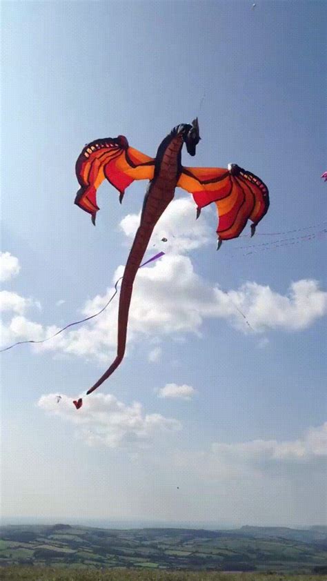 This giant dragon kite is too cool | Dragon kite, Kite designs, Go fly ...