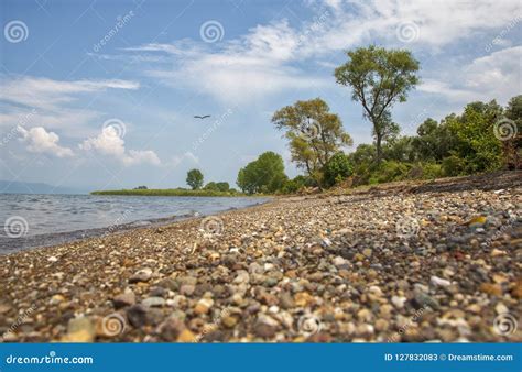 Iznik Lake stock image. Image of travel, lake, reeds - 127832083