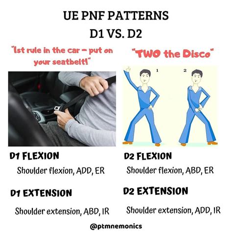 Proprioceptive neuromuscular facilitation (PNF) is a rehabilitation ...