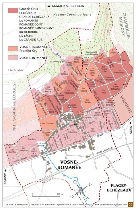 Vosne-Romanée | Wine pairing, Wine region map, Wine infographic