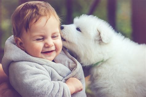 How to Introduce Your Dog to Your Baby | SafeWise