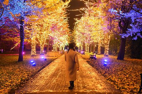 First look at Christmas at Bute Park as festive light trail opens in ...