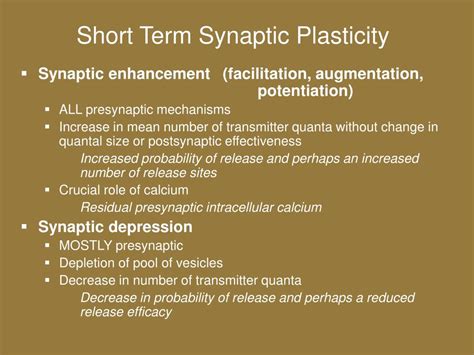 PPT - Synaptic Plasticity PowerPoint Presentation - ID:307059