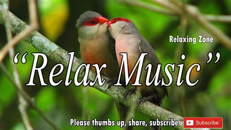 1 HOUR Birds Relax Music For Sleep , Meditation Music [HD] - YouTube