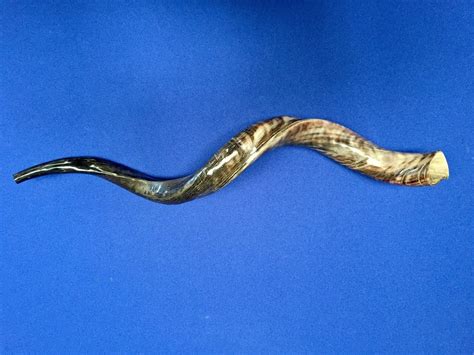 Medium Shofar Polished