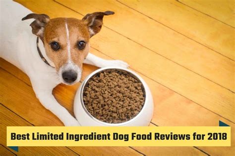 Dog Food Reviews - Everything you need to know about raising a happy pup