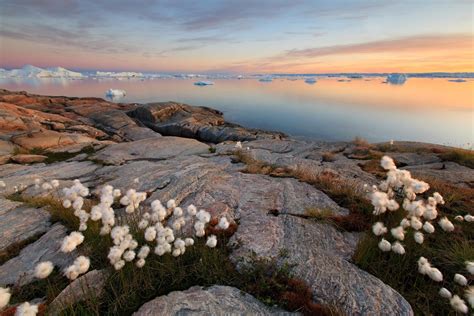 Hiking routes in North Greenland with views of icebergs - [Visit Greenland!]