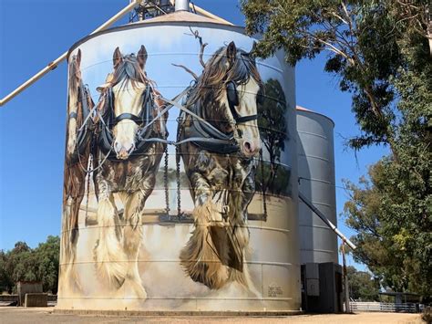 Drive the Benalla Silo Art Trail - Australia Bucket List