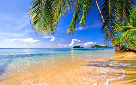 Tropical Beach HD Wallpaper (68+ images)