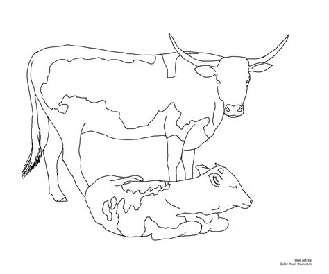 Longhorn Cow and Calf Coloring Page