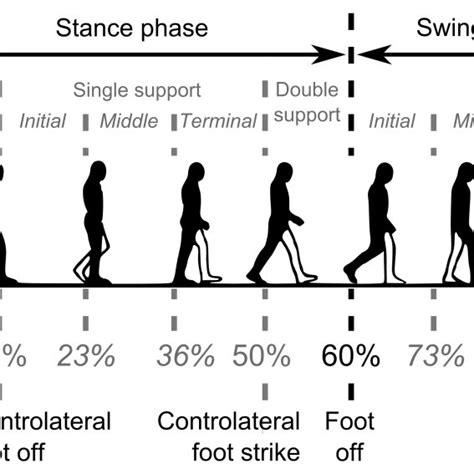 (PDF) Normal gait