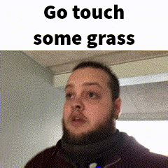 Stanleymov Touch Grass GIF - StanleyMov Touch grass - Discover & Share GIFs