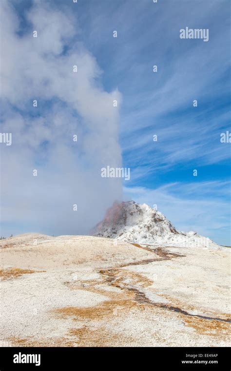 White Dome Geyser erupting in Yellowstone National Park Wyoming Stock Photo - Alamy