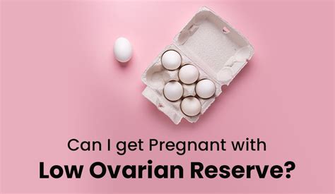 Can I get Pregnant with a Low Ovarian Reserve?