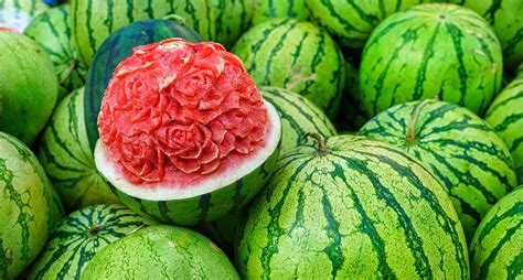 Watermelons bring sweet success to women farmers