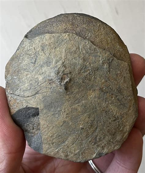 Anything special about this smooth rock? : r/askgeology