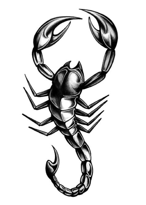 Animal | Scorpion tattoo, Scorpio tattoo, Picture tattoos