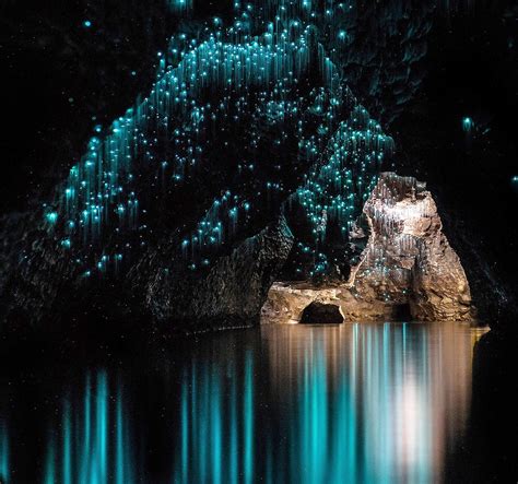 Waitomo Glowworm Caves - LBS - Leisure and Business Services