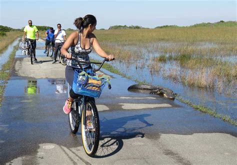 Shark Valley at Everglades National Park: Remarkable bike path and wildlife